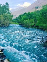 ناشناس دل ور